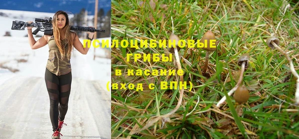 альфа пвп Елабуга