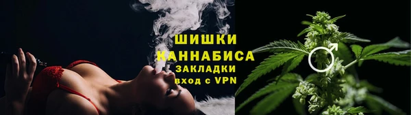 PSILOCYBIN Заволжье