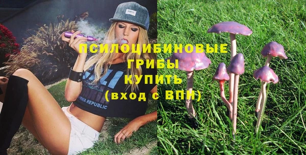 марки nbome Ельня