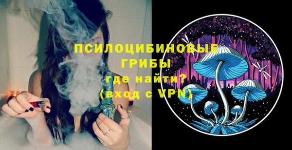 PSILOCYBIN Заволжье