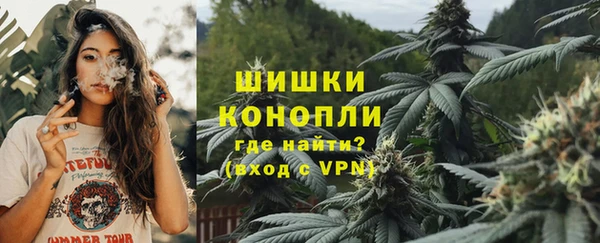 PSILOCYBIN Заволжье